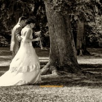 /album/style-couple-floute/a0148xx-jpg/